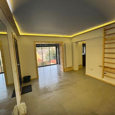 Villa The Bear House 2 Buşteni Exterior foto