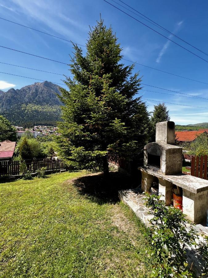 Villa The Bear House 2 Buşteni Exterior foto